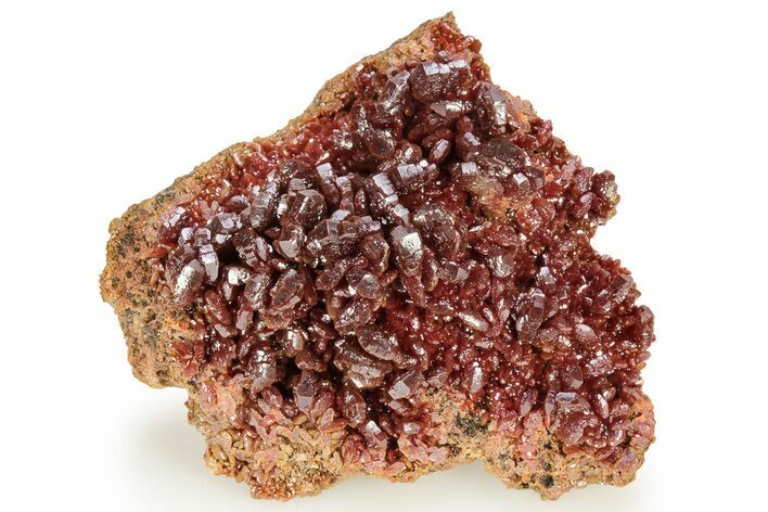 Dark Red Vanadinite Crystal Cluster - Morocco #223688